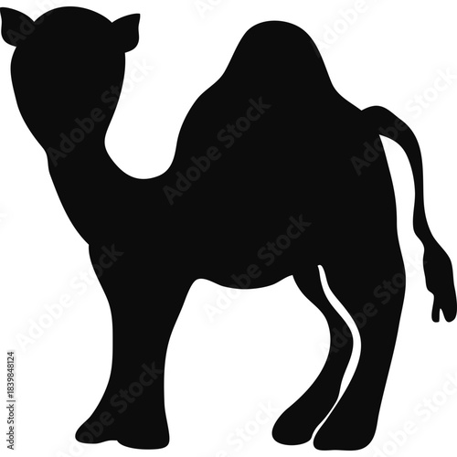 Camel Silhouette Islamic Illustration