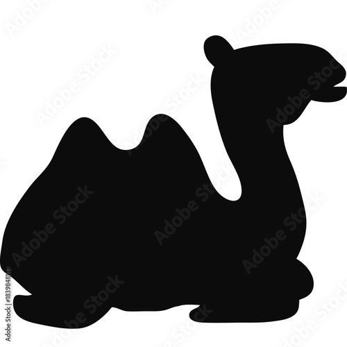 Camel Silhouette Islamic Illustration