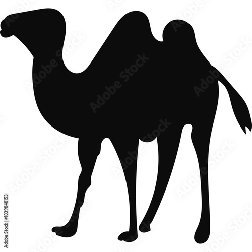 Camel Silhouette Islamic Illustration