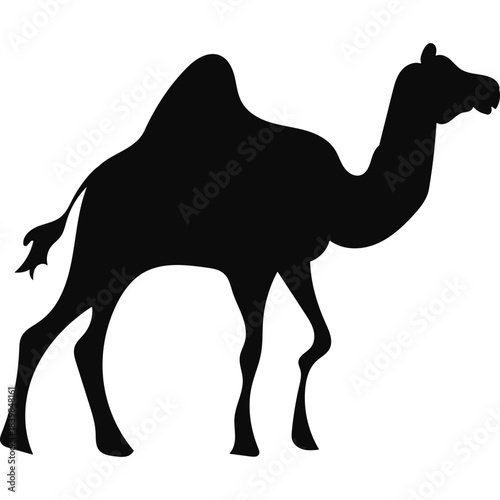 Camel Silhouette Islamic Illustration