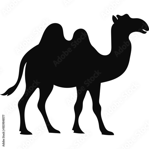 Camel Silhouette Islamic Illustration