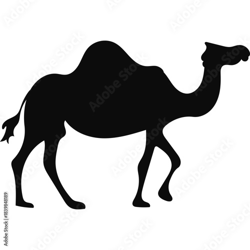 Camel Silhouette Islamic Illustration