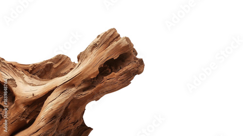 Old tree trunk on white with red desert rocks and scenic canyon landscape