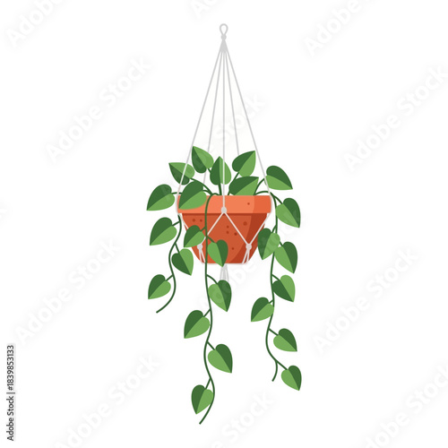 A vibrant green potted plant with trailing vines in a terracotta pot, suspended by a white macrame hanger against a clean white background.