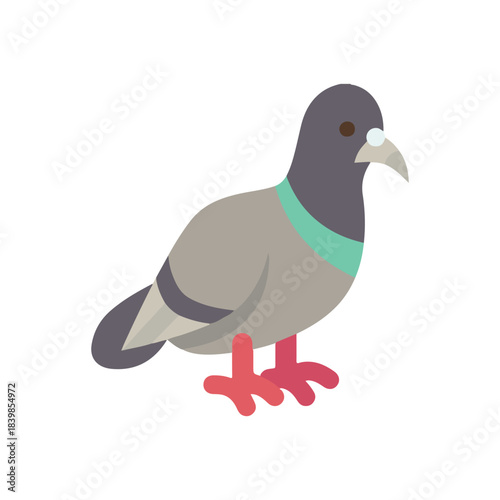 Pigeon, bird, avian icon