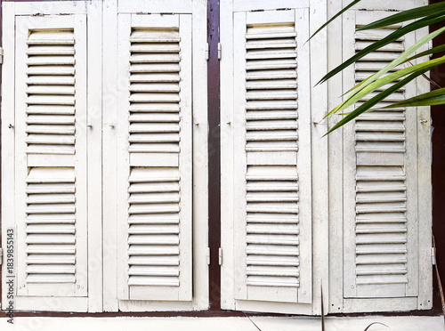Closed White Antique Wooden Casement Windows with Green Leaves at Nakhon Phanom, Thailand. 05 NOV 2025. A.M.