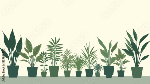 Potted Plants Collection