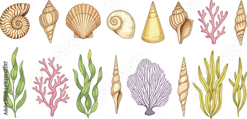 Hand-drawn colorful marine elements set featuring seashells, corals, and seaweeds for ocean-themed educational or decorative design projects