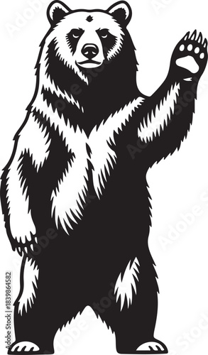 Black and white grizzly bear waving on white background Keywords: bear, grizzly bear, black bear