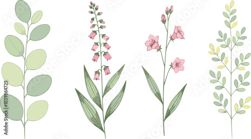 Stylized Botanical Plant Illustrations Featuring Green Leaves and Pink Flowers Isolated on White Background for Nature and Design Themes