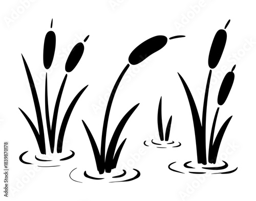 Black and White Illustration of Cattails in Water