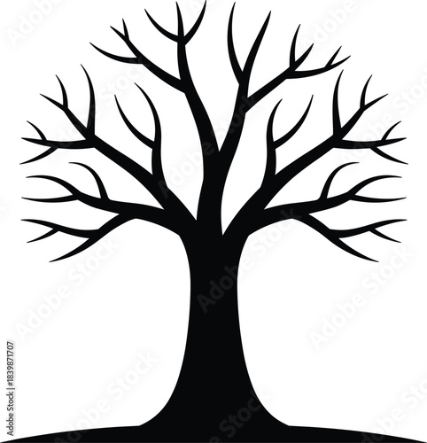 Silhouette of a bare deciduous tree with intricate branches black white