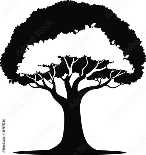Silhouette of a large deciduous tree with full foliage black white