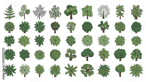 Illustration of collection of 40 top view tree icons and illustrations for landscape design and architecture