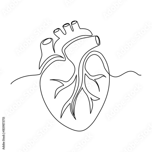 Human heart in continuous one line drawing. Anatomical human heart organ illustration