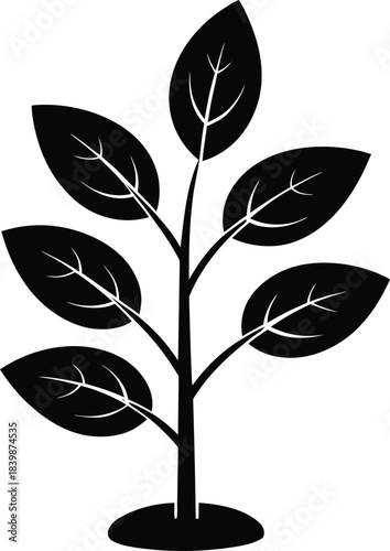 Growing plant silhouette vector with six leaves leaf