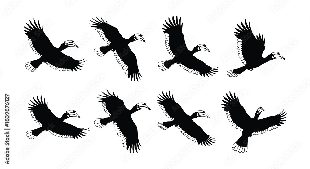 Fototapeta premium Silhouettes of hornbills in flight showcasing their unique wing shapes and beaks