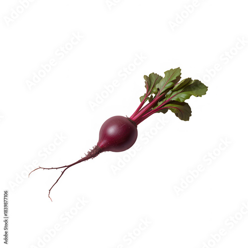 bunch of radishes isolated on white