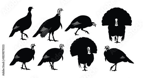Black silhouette illustrations of turkeys in various poses and perspectives