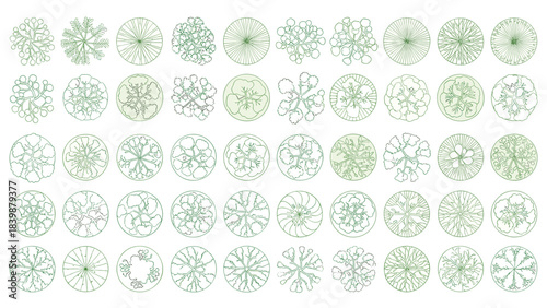 Illustration of collection of 50 top view tree plan symbols for landscape architecture and design