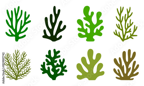 Human Life Stages Silhouette from Baby to Senior Elder, Growth Chart