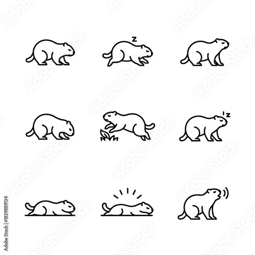 Groundhog and Rodent Icons Set: Outline Vector Glyphs Illustrating Sleep, Alertness, and Various Poses