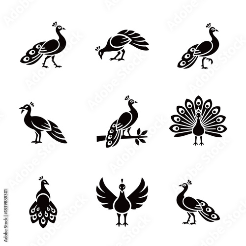 Elegant Peacock Bird Icons Set: Monochromatic Glyphs Illustrating Displaying, Perching, and Flying Poses