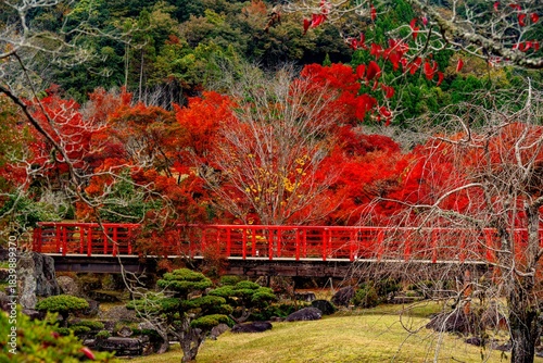 渓石園の紅葉