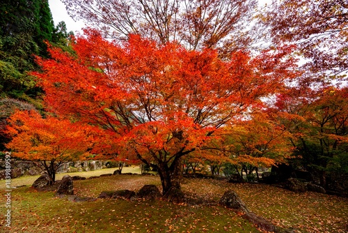渓石園の紅葉