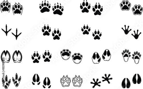 Collection of diverse animal footprint silhouettes including paw prints, hoof marks, bird tracks, and wildlife trail icons for nature-themed vector designs