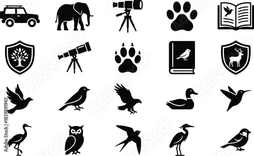 Vector collection of wildlife silhouettes, birds, safari animals, nature symbols, and birdwatching equipment icons for outdoor adventure travel design projects.