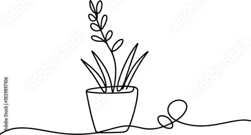 Vector illustration of a fresh rosemary herb plant in a flowerpot