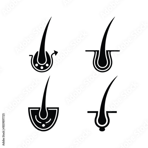Hair follicle silhouette set diagram medical