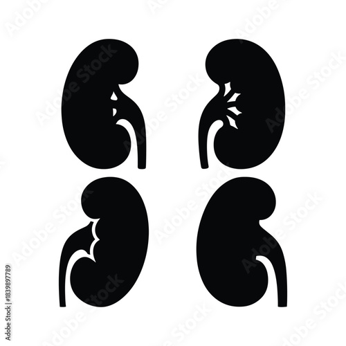 Kidney silhouette set human organ anatomy