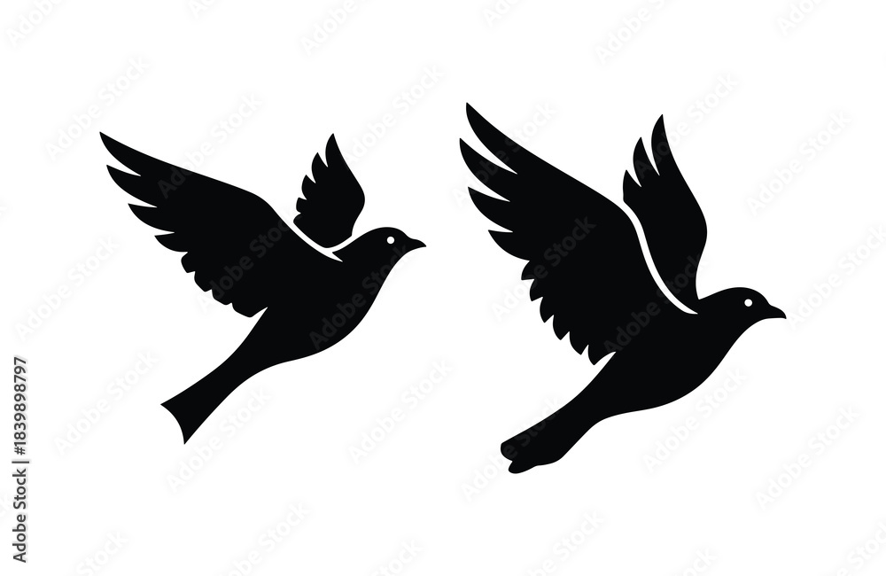 Obraz premium Flying bird silhouette bundle freedom concept