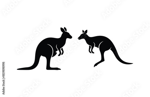 Kangaroo silhouette set australian wildlife animal