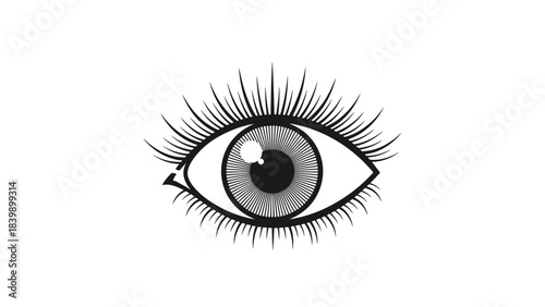 Monochrome all-seeing eye icon with detailed iris and long, lush eyelashes, representing esoteric symbolism and vision on a white background.