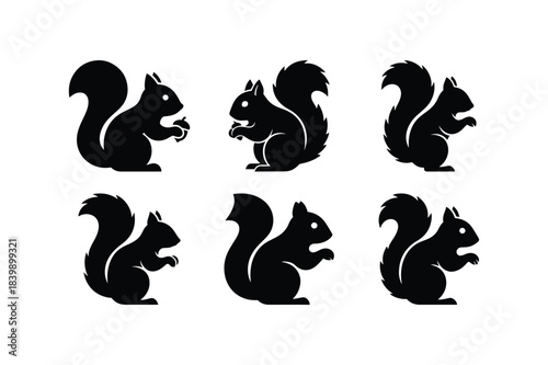 Squirrel silhouette set woodland wildlife animal