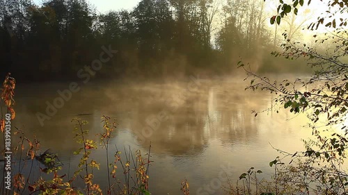 a video of a early morning  misty Nisqually River at Nisqually Nature Wildlife Preserve Washington State