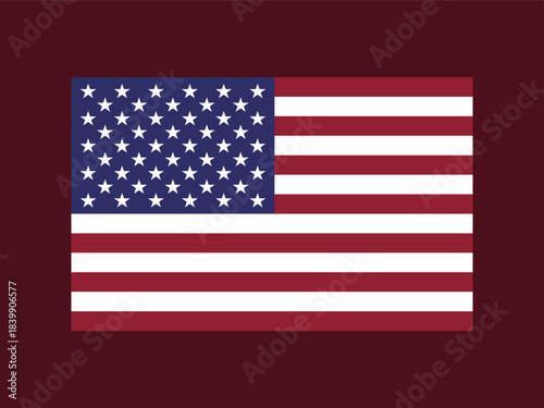 American flag illustration USA symbol patriotic graphic 