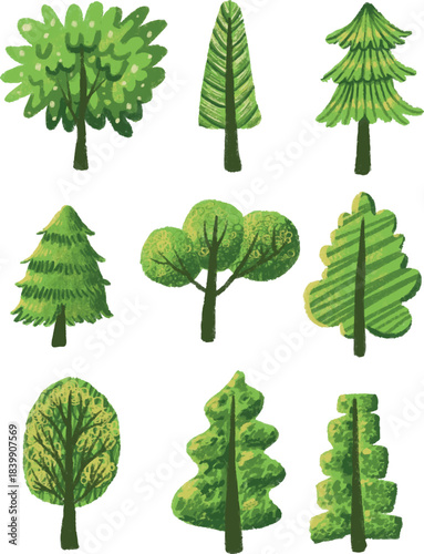 Tree Illustration Set – Hand Drawn Green Forest Clipart