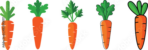 Five stylized carrots with green tops on a white background vegetable food