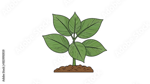 The Seed of Potential: A vibrant sketch of a sprouting plant, depicting the early stages of growth and potential.