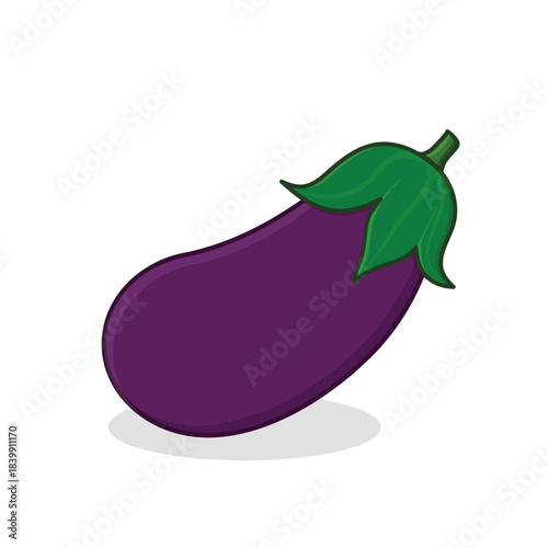 Purple eggplant. egg plant. slice eggplant