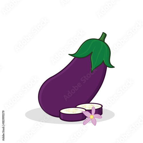 Purple eggplant. egg plant. slice eggplant
