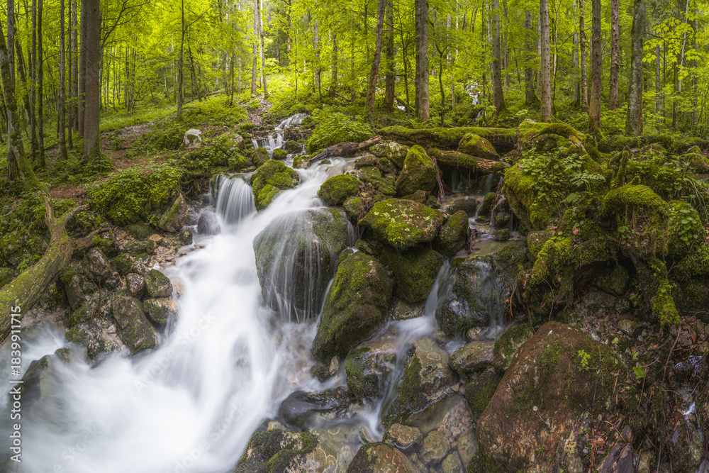 Fototapeta premium Rothbach Waterfall near Konigssee lake in Berchtesgaden National Park, Germany