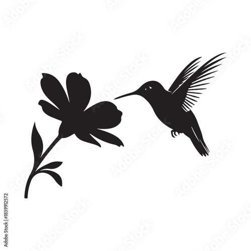 Black Silhouette of Flying Hummingbird Hovering Near Flower Isolated on White Background Vector Illustration