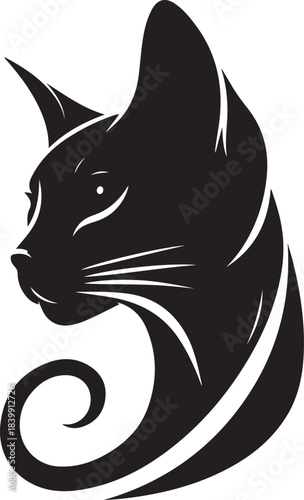 black cat on white background