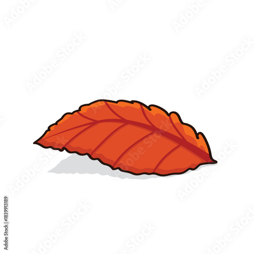 Autumn leaves. autumn leaf. autumn leaves background vectoor cartoon illustration