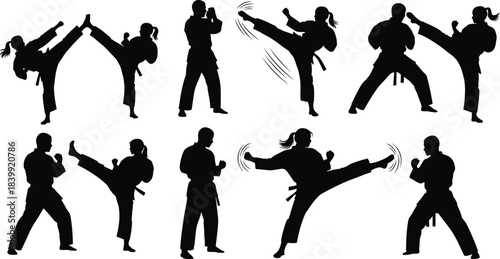 Diverse collection of elegant dance silhouettes, including ballet, contemporary, and couples, showcasing a wide range of graceful, dynamic, and expressive male and female figures.